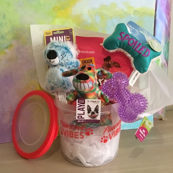 Fun bucket Toys and Treats for a small dog light chewer - Picture 1 of 2